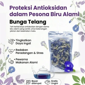 Bunga Telang