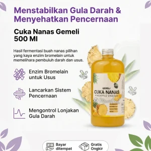 Cuka Nanas Gemeli 500 ml