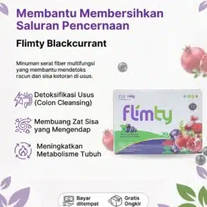 Flimty Blackcurrant