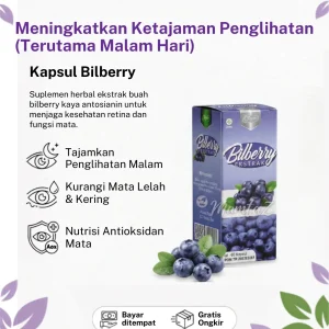 Kapsul Bilberry