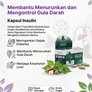 Kapsul Insulin