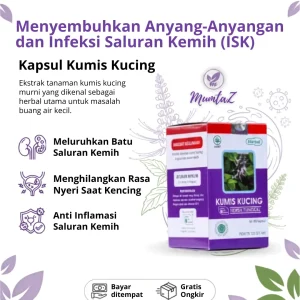 Kapsul Kumis Kucing