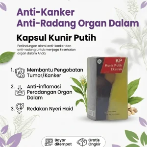 Kapsul Kunir Putih