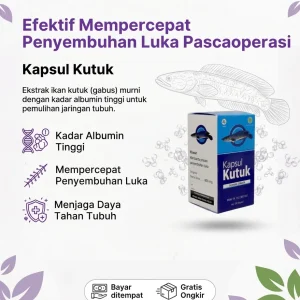 Kapsul Kutuk