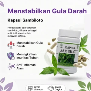 Kapsul Sambiloto