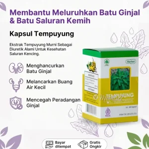 Kapsul Tempuyung HIU