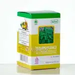 Kapsul Tempuyung Semarang