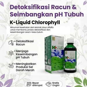 K.Liquid Chlorophyll K-Link (Klorofil)