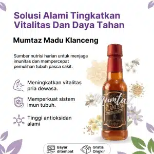 Madu Klanceng