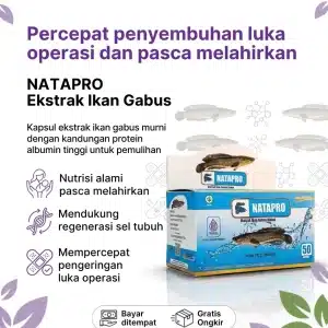 NATAPRO Ekstrak Ikan Gabus