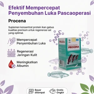 Procena