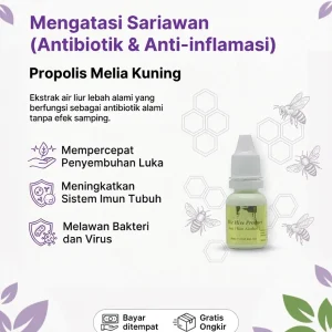 Propolis Melia Kuning