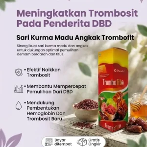 Sari Kurma Madu Angkak Trombofit
