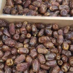 kurma mesir 1 kg