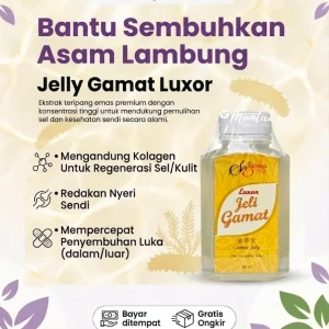 Jelly Gamat Luxor 350 ml