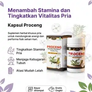 Kapsul Proceng