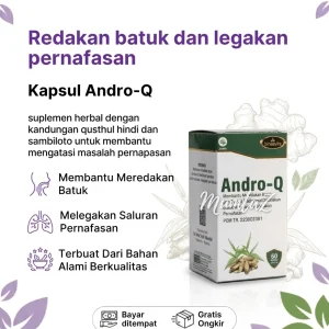 Kapsul Andro-Q