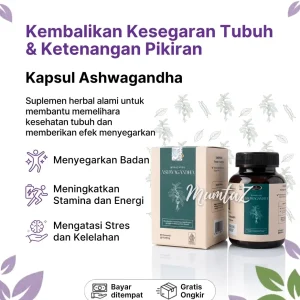 Kapsul Aswagandha