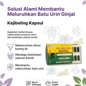 Kejibeling Kapsul