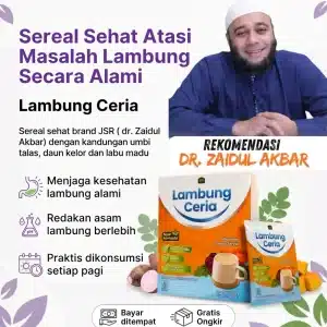 Lambung Ceria 1 Sachet