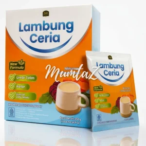 Lambung Ceria 1 Sachet